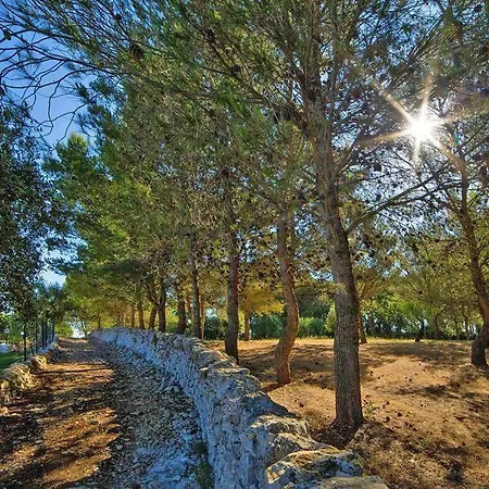 Trullo - Iap021010-u Holiday home *